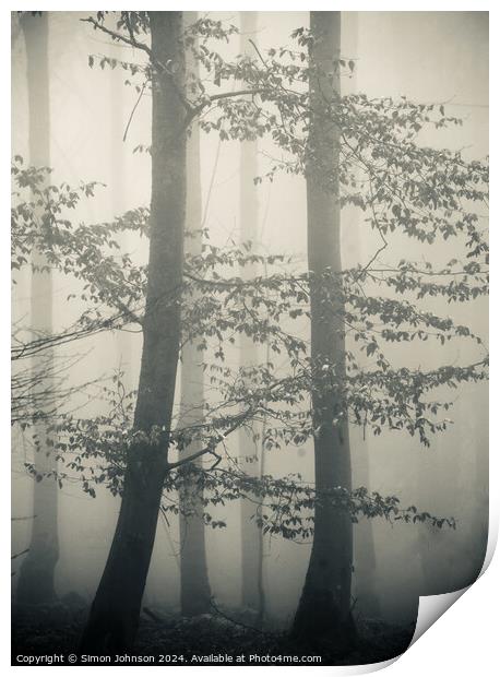 Trees in Mist monochrome  Print by Simon Johnson