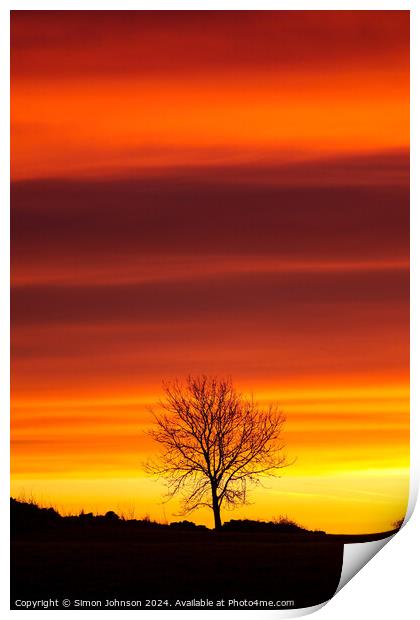 Tree silhouette sunrise Print by Simon Johnson