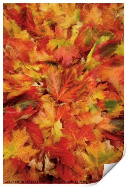 Autumn Collage with artistic blur Print by Simon Johnson