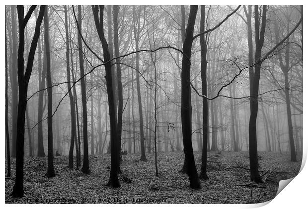 Misty Woodland Print by Simon Johnson