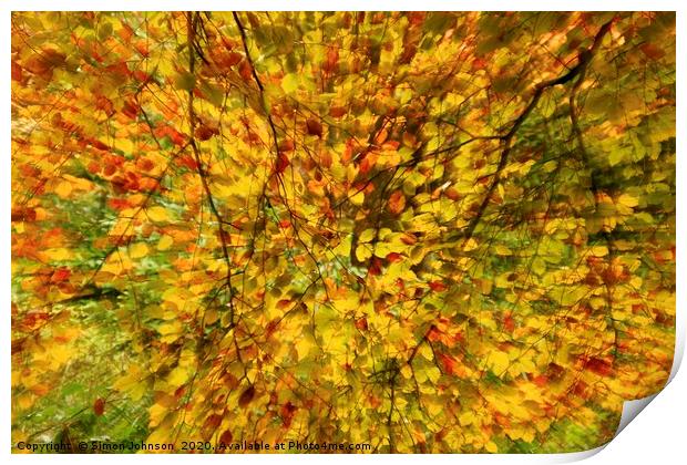 Leaf explosion Print by Simon Johnson