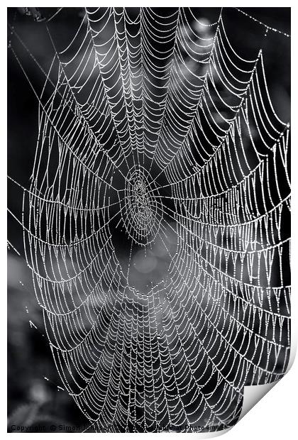 cobweb close up.  Print by Simon Johnson