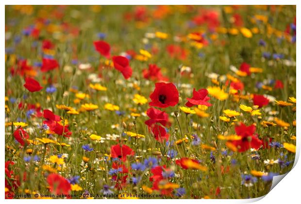 Poppy and wild flower meadow Print by Simon Johnson