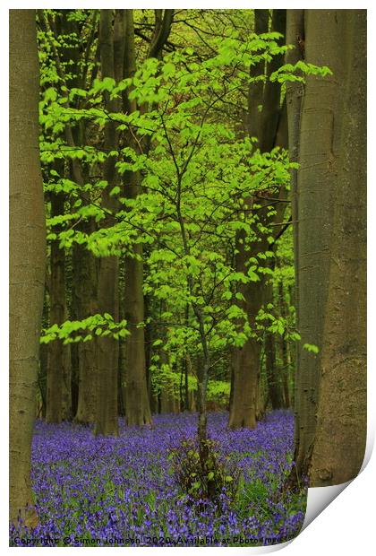  Green Tree and Bluebell Wood Print by Simon Johnson