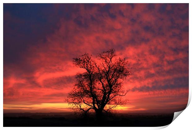 Dramatic Cotswold  Sunrise Print by Simon Johnson