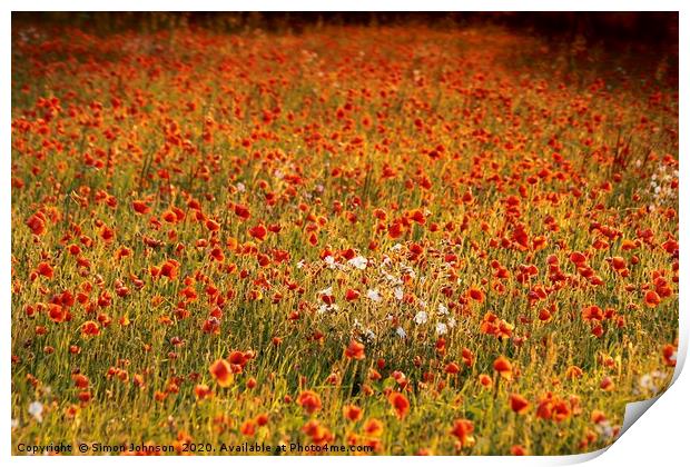 impressionist image of poppy field Print by Simon Johnson