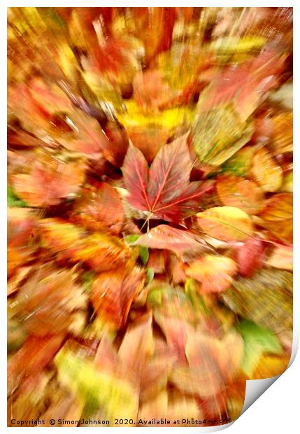 Autumn leaf Collage  Print by Simon Johnson