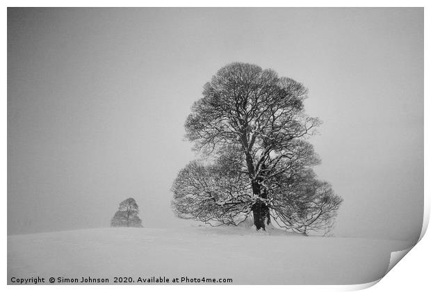 Two trees in snow Print by Simon Johnson