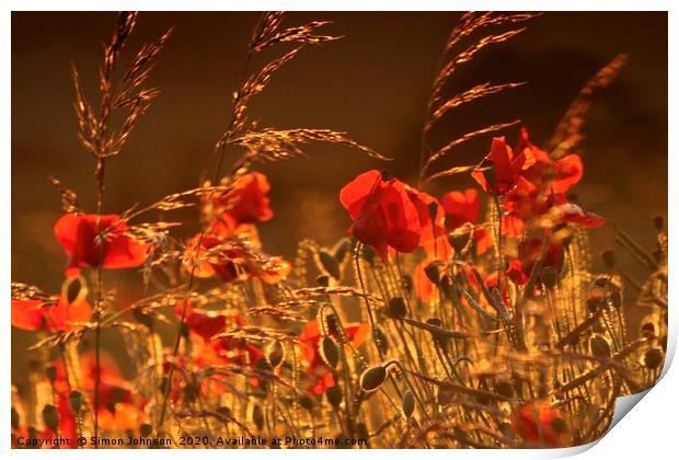 Poppies in corn Print by Simon Johnson