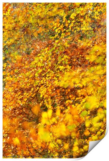 Impressionist image of autumn leaves Print by Simon Johnson
