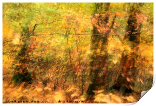 sunlit autumn woodland Print by Simon Johnson