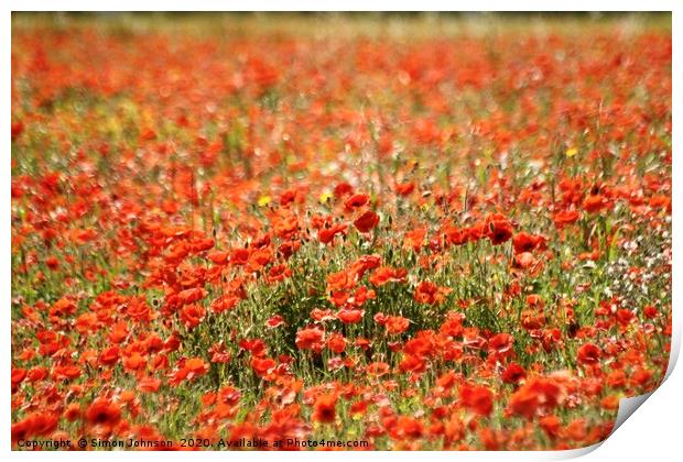 poppies Print by Simon Johnson