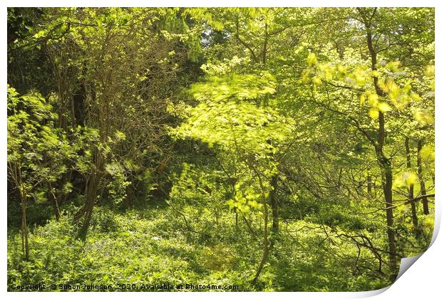 Spring green, stiff breeze, strong sunlight Print by Simon Johnson