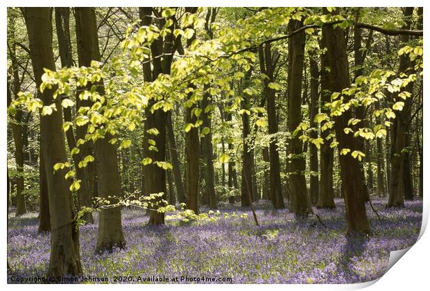 Bluebell Wood Print by Simon Johnson