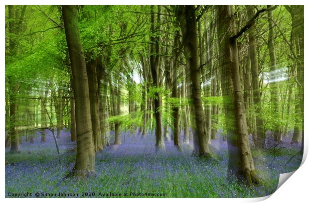 Bluebell Woodland Print by Simon Johnson