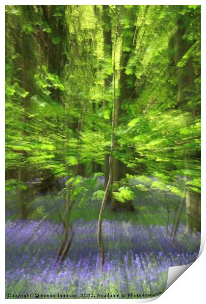  Impressionist image  of Beech sampling  Print by Simon Johnson