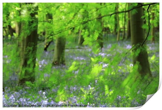 Leaves and bluebells Print by Simon Johnson