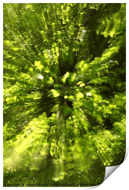 Summer leaf explosiion, creative image Print by Simon Johnson