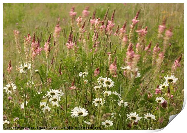 Daisys and meadow grass  Print by Simon Johnson