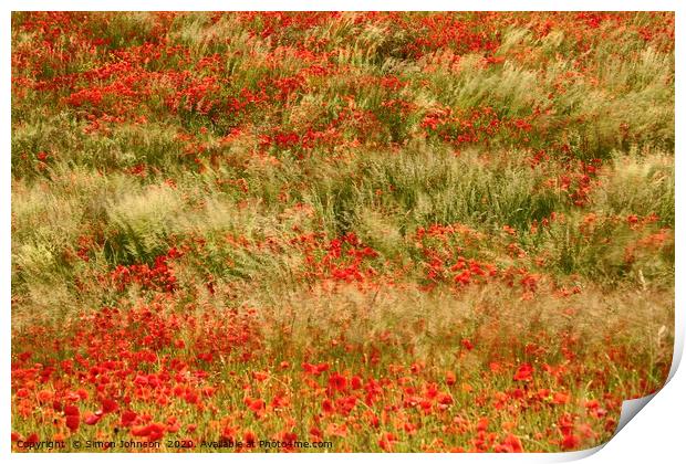 Poppies and grass blowing in the wind Print by Simon Johnson