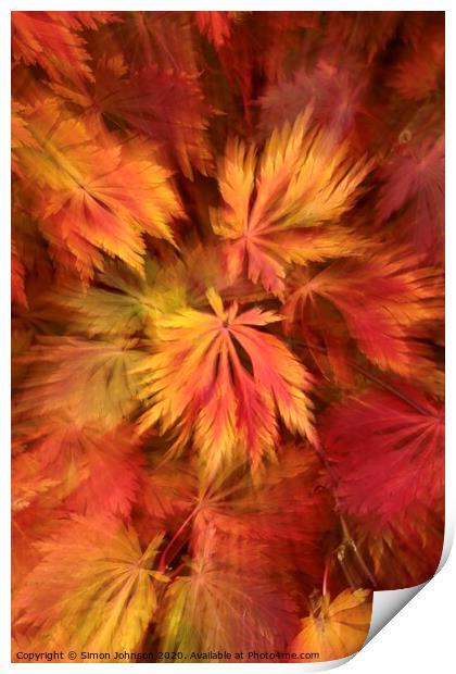Autumn leaf colour Print by Simon Johnson