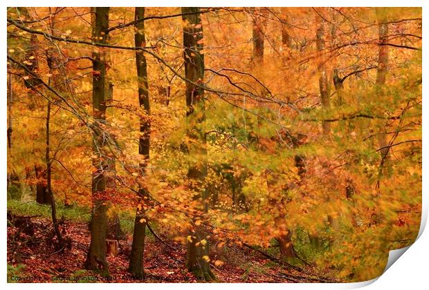 Autumn Colour Print by Simon Johnson