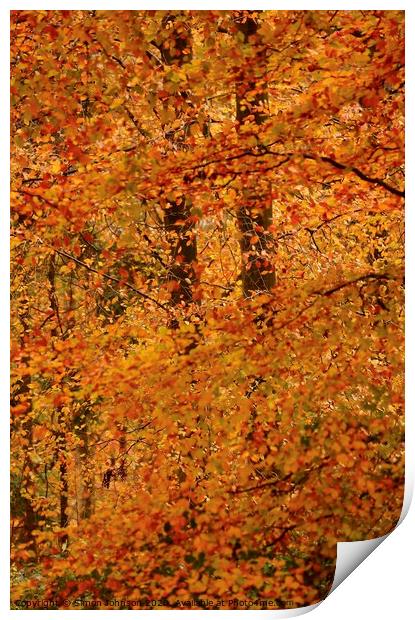 Impressionist Autumn woodland Print by Simon Johnson