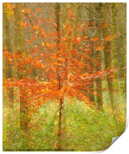 Abstract autumn explosion Print by Simon Johnson