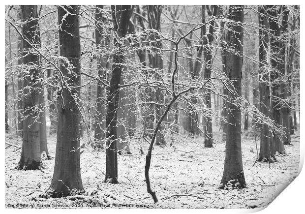 Winter woodland Print by Simon Johnson
