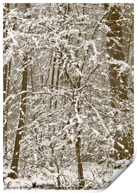 Woodland blizzard Print by Simon Johnson