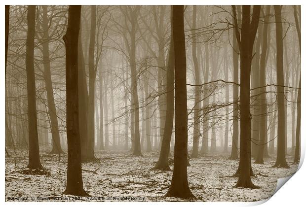  Winter woodland, Print by Simon Johnson