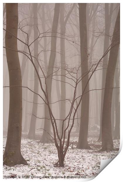 V shaped tree Print by Simon Johnson