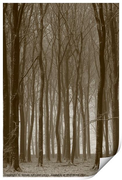 Beech wood winter Print by Simon Johnson