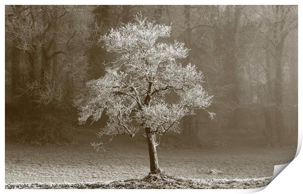 Winter tree Hoar frost Print by Simon Johnson