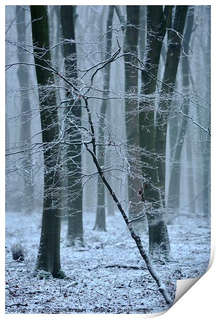 Frozen woodland  Print by Simon Johnson