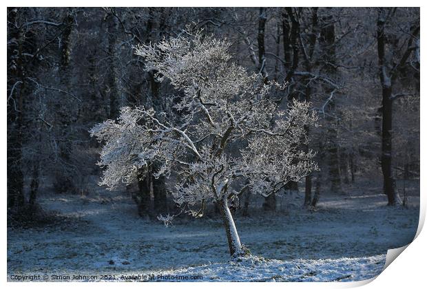 Sunlit hoar frost Print by Simon Johnson