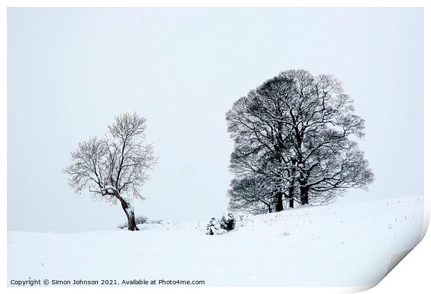 Trees in snow Print by Simon Johnson