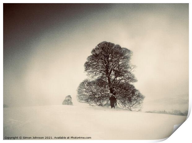 Winter wilderness Print by Simon Johnson