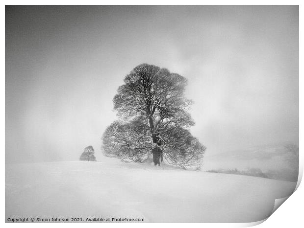 Winter trees and mist Print by Simon Johnson