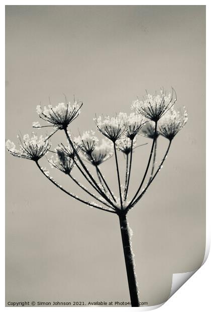 Frozen Grass Print by Simon Johnson