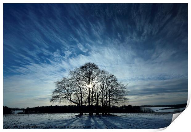 trres and dramatic sky Print by Simon Johnson