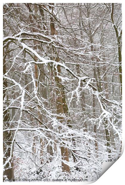 woodland winter blizzard Print by Simon Johnson