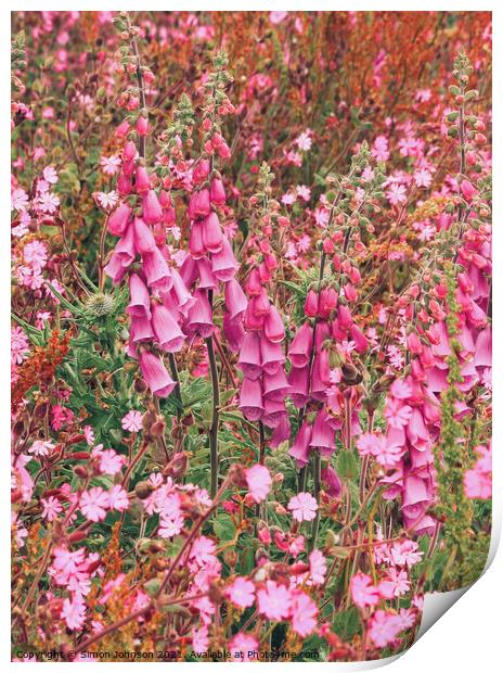 Foxglove colour Print by Simon Johnson