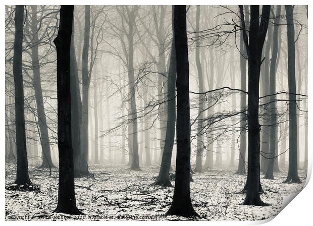 woodland mist Print by Simon Johnson