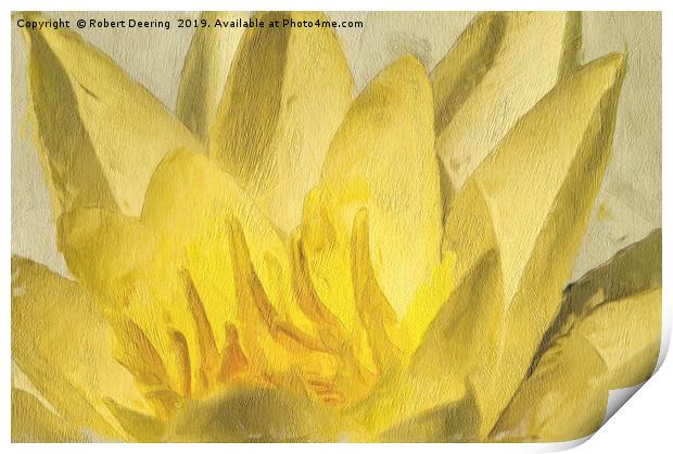 Yellow water lily Print by Robert Deering
