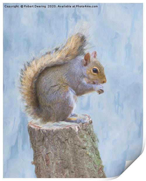Grey squirrel on tree stump Print by Robert Deering
