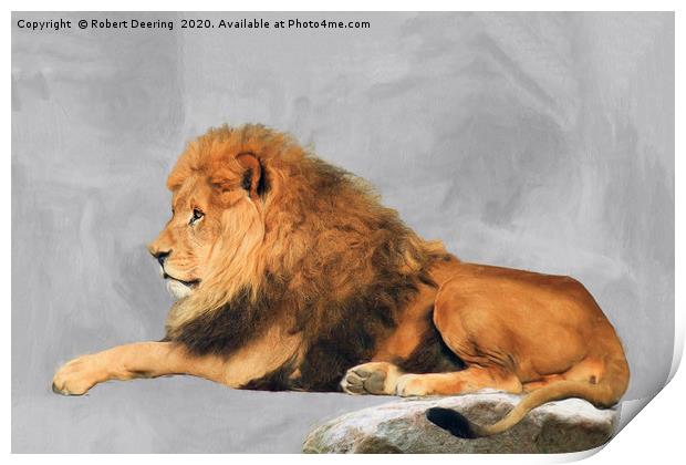 Male Lion Laying Down Print by Robert Deering