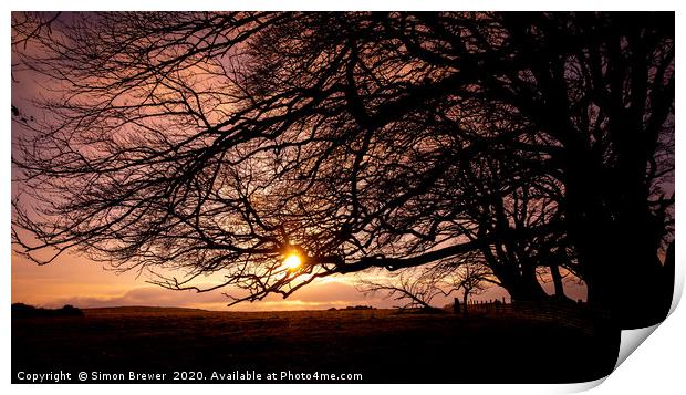 Sunset through the branches Print by Simon Brewer
