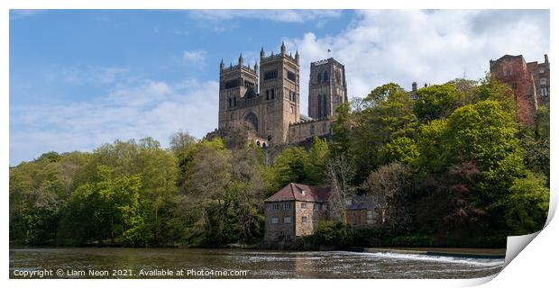 Durham Cathedral Print by Liam Neon