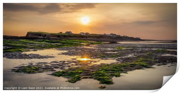 Green and Gold of Hilbre Island Print by Liam Neon